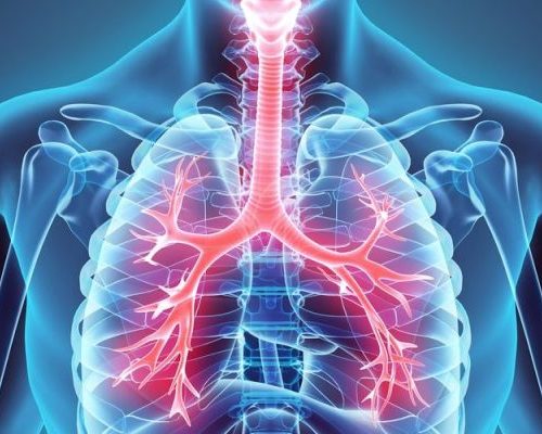tipos-de-respiracion-e1641320972142